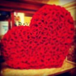 Jodie Renner - Instagram Profile Picture of Jodie Renner (@bonhawkie) on Instagram