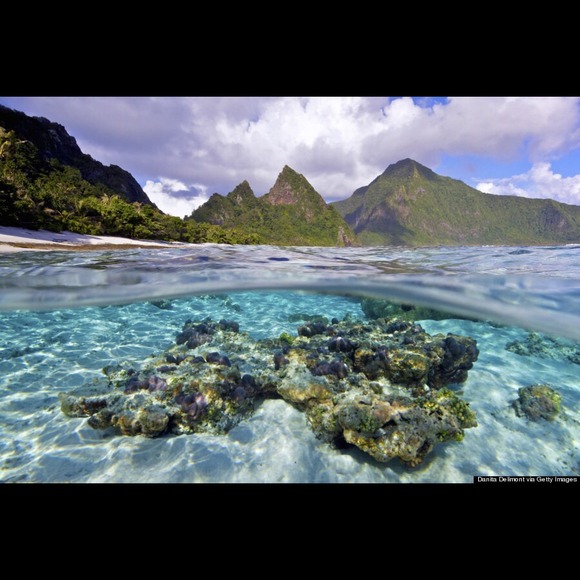 Profile Picture of Danny Whalen (@dcwhalen93) on Poshmark