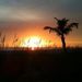 Profile Picture of Alicia Schultz (@alindunn) on Pinterest