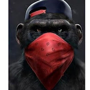 Profile Picture of Dave Harper (@harper725) on Youtube