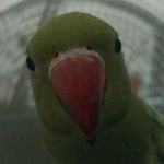 Profile Picture of Michael Torrens (@torr.michael848) on Instagram