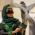 Profile Picture of شاهین  وحشی (@shahinwild) on Instagram