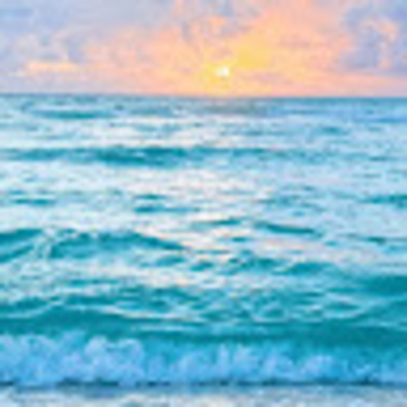 Kenzie Forkum - Poshmark Profile Picture of Kenzie Forkum (@kenzieforkum) on Poshmark