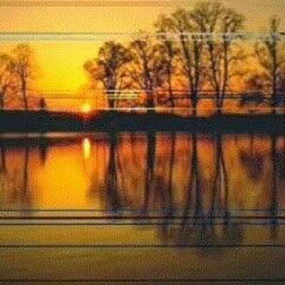 Profile Picture of Manuel Araujo (@manuelaraujo661) on Twitter