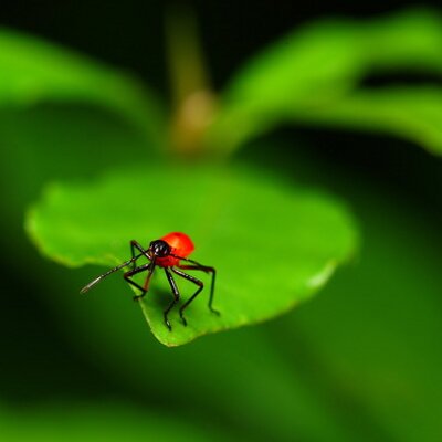 Profile Picture of Philip Holcomb (@philipholcomb1) on Twitter