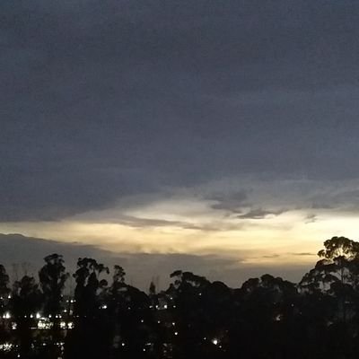 Profile Picture of Júlia Pedroza De Carvalho (@JliaPedrozaDeC2) on Twitter