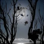 Rocky Kinsler - Facebook Profile Picture of Rocky Kinsler (@rocky.kinsler.75) on Facebook