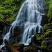 Profile Picture of Carol Bundock (@cbudock) on Pinterest