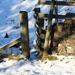 Profile Picture of Maurice Goodwin (@mauricegoodwin) on Instagram