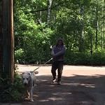 Profile Picture of Роберт Курашвили (@robertkurashvili) on Instagram