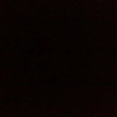 Profile Picture of Anthony Kyle Reyes (@swift_ant_reyes) on Twitter