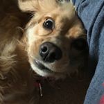 Profile Picture of Michael Przybylak (@michaelprzybylak) on Instagram