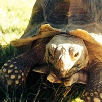 Profile Picture of Ivy Hill (@ivy-hill-6) on Quora