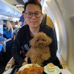 Profile Picture of JosephChan (@josephchan911) on Instagram