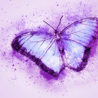 Profile Picture of Lily Beck (@lily-beck-34) on Quora