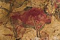 Profile Photo of Cave of Altamira - Wikipediaon Wikipedia