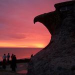 Profile Picture of David Musso (@musso9518) on Instagram