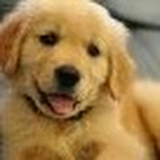 Profile Picture of Queen Julia (@queenjulia2642) on Youtube