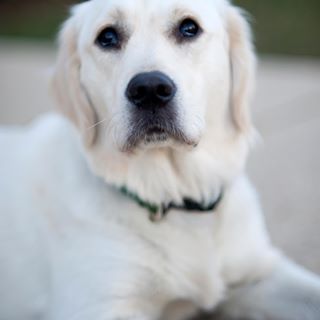 Profile Picture of Stephen Bruce Latta (@stephen.b.latta) on Facebook