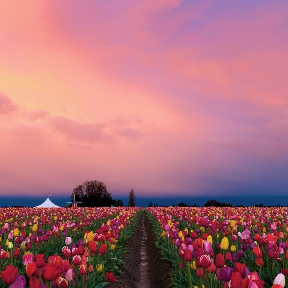 Profile Picture of Leanne Helfrich (@leannehelfrich) on Poshmark