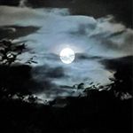 Profile Picture of Geoff Nelson (@geoff.nelson) on Instagram