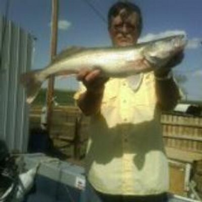 Profile Picture of Dave Cleland (@DaveCleland1) on Twitter