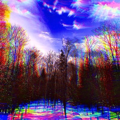 Profile Picture of Roger_schell17 (@Roger_schell17) on Twitter