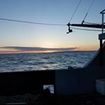 Profile Picture of Grant Beeman (@ol_grizz) on Instagram