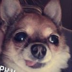 Profile Picture of Cesar Rodriguez (@cesar_rodriguezmkv) on Instagram