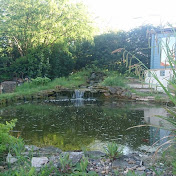 Profile Picture of Robert Forsythe (@64Michaelwayne) on Youtube