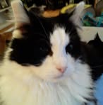 Profile Picture of Coleen Hirschi (@coleen.hirschi.5) on Facebook