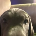 Profile Picture of Drew Straub (@Drew-Straub) on Facebook