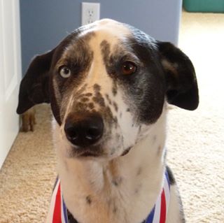 Profile Picture of Jeff Dorrington (@jeff.dorrington.3) on Facebook