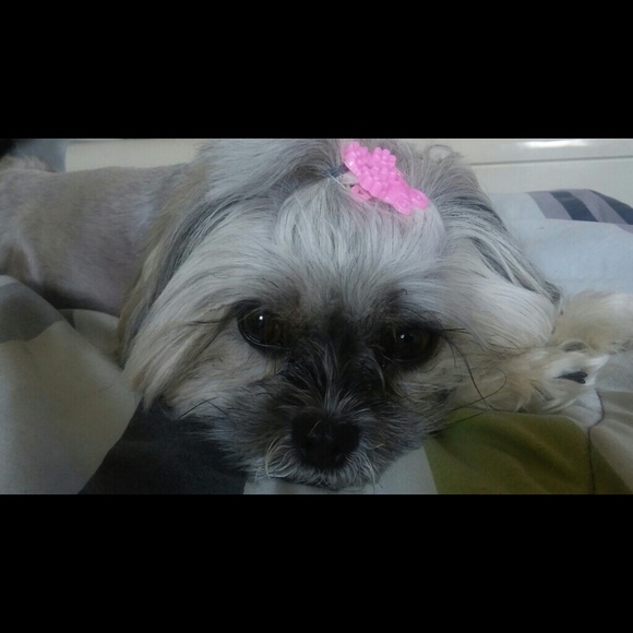 Profile Picture of Rushell Allen (@rushells) on Poshmark