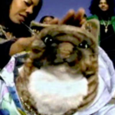 Profile Picture of Andrew (@panik4TK) on Twitter