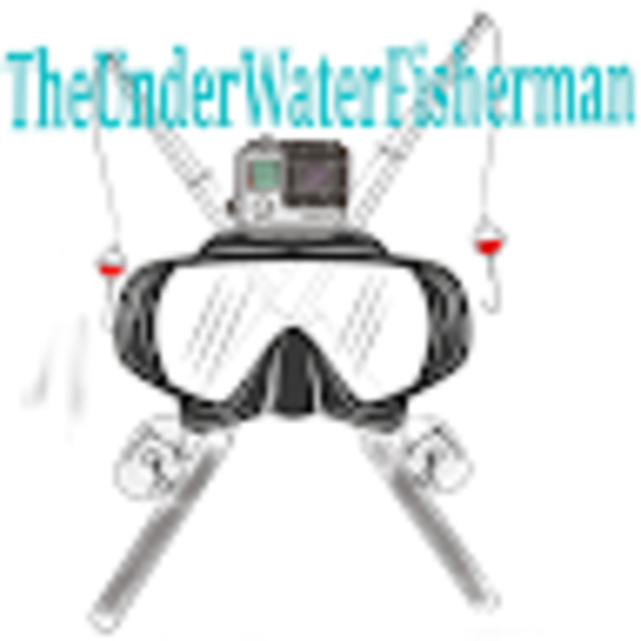 Profile Picture of Bashin' Bikes (@b_bikes) on Poshmark