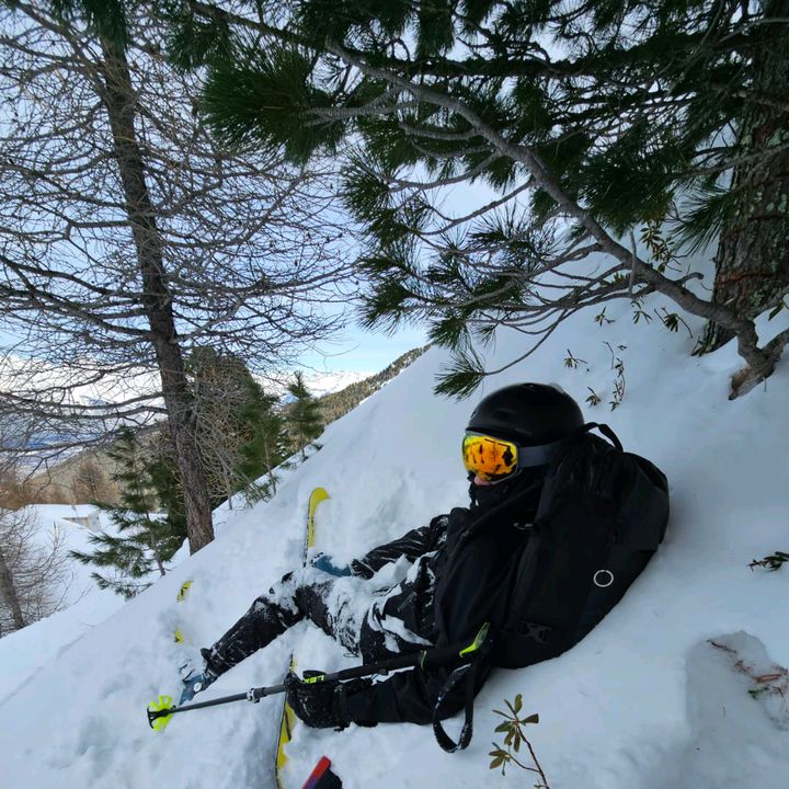 LE - Tiktok Profile Picture of LE (@paul.felt) on Tiktok