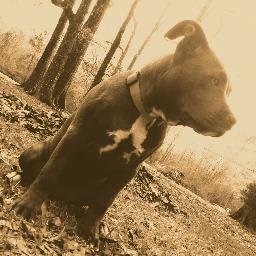 Profile Picture of Hannah Nicole Ricks (@hannahricks2003) on Twitter