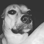 Profile Picture of Casey Mcnabb (@progressiveyasss2231) on Instagram
