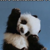 Profile Picture of Eriona Husenaj (@erionahusenaj9234) on Youtube