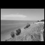 Profile Picture of Scott Brooks (@sbrooks1979) on Instagram