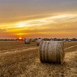 Profile Picture of Haschkemichael (@haschkemichael) on Flickr