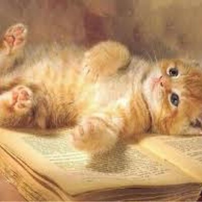 Profile Picture of Damian Salgado (@DamianSalgado13) on Twitter