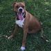Profile Picture of Buddy Cartwright (@profile.php) on Facebook