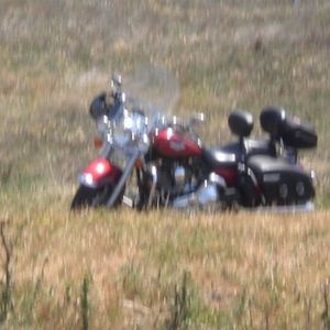 Profile Picture of Larry Bellis (@240933552) on Myspace