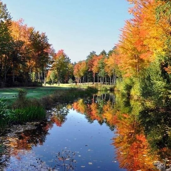 Profile Picture of Sandy Lorincz (@sanshell) on Poshmark