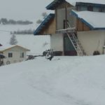 Profile Picture of javad yadani (@javad_yazdani.67) on Instagram