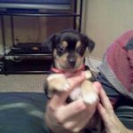 John Snellings - Instagram Profile Picture of John Snellings (@snellingsjohn) on Instagram