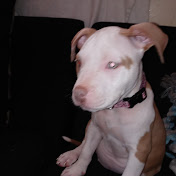 Profile Picture of Amber Freeman (@amberfreeman1799) on Youtube