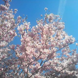 Profile Picture of Suzanne Humbert (@suzanne.humbert.7) on Facebook